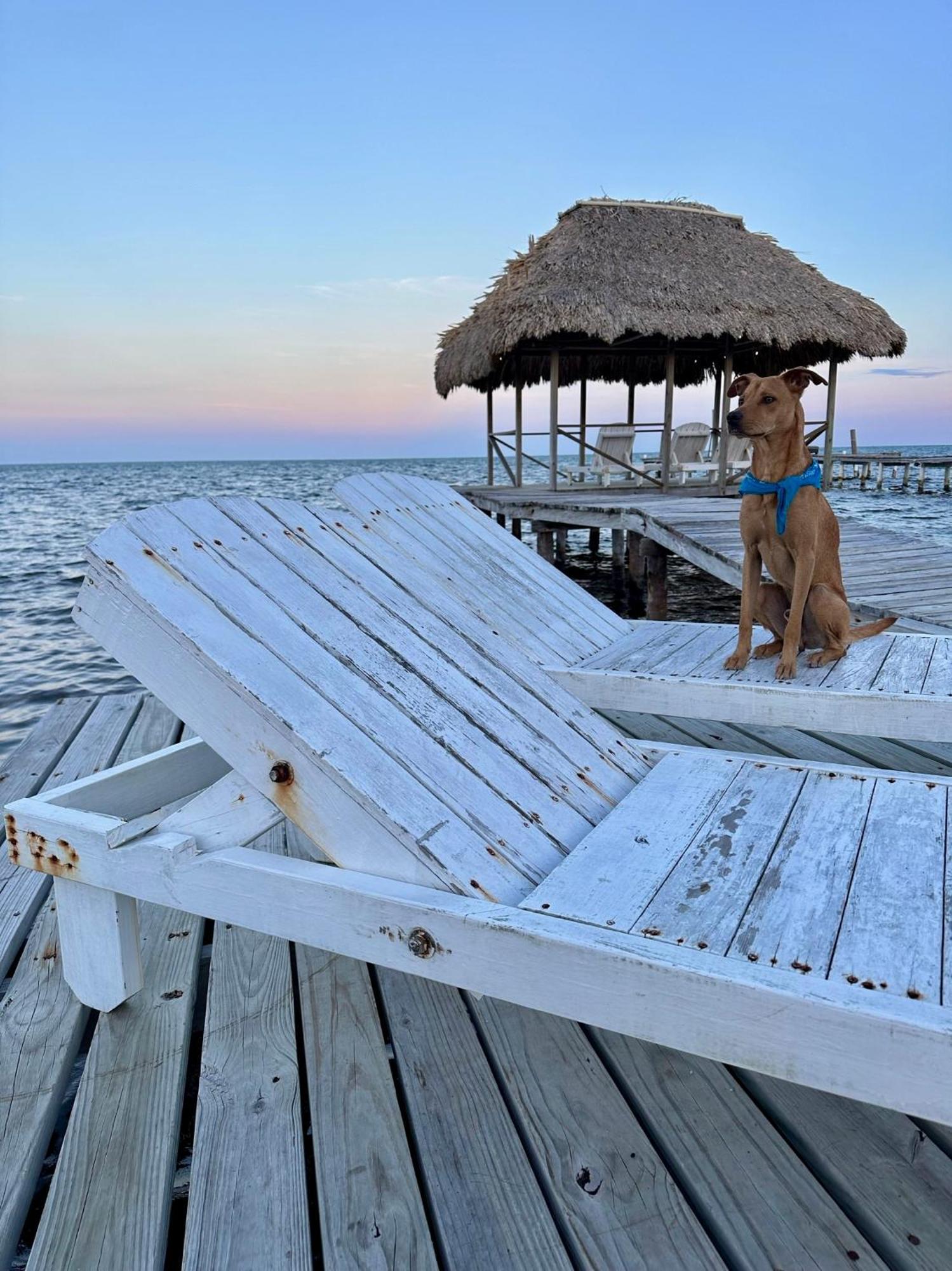 Barefoot Beach Belize Caye Caulker Exteriör bild
